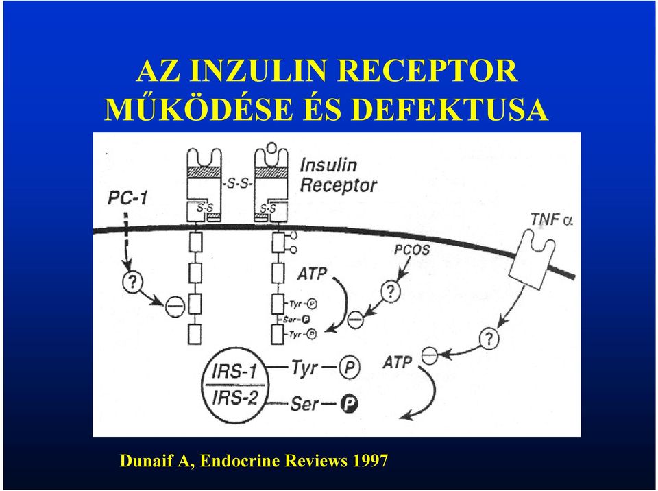 ÉS DEFEKTUSA