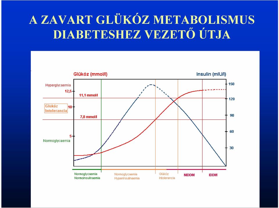 METABOLISMUS