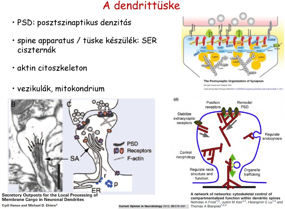 tüske készülék: SER ciszternák