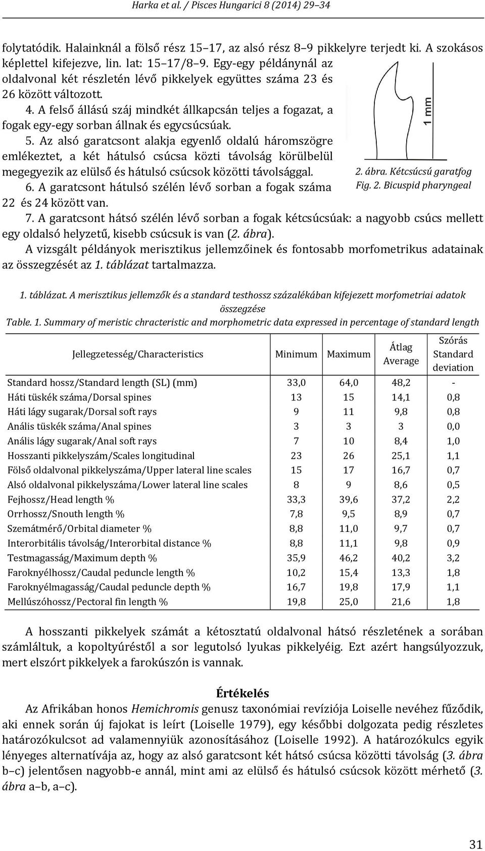 A felső állású száj mindkét állkapcsán teljes a fogazat, a fogak egy egy sorban állnak és egycsúcsúak. 5.