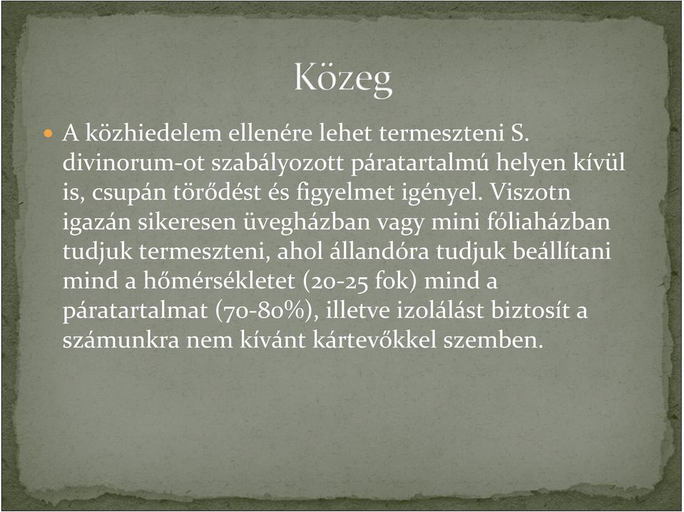 Viszotn igazán sikeresen üvegházban vagy mini fóliaházban tudjuk termeszteni, ahol állandóra