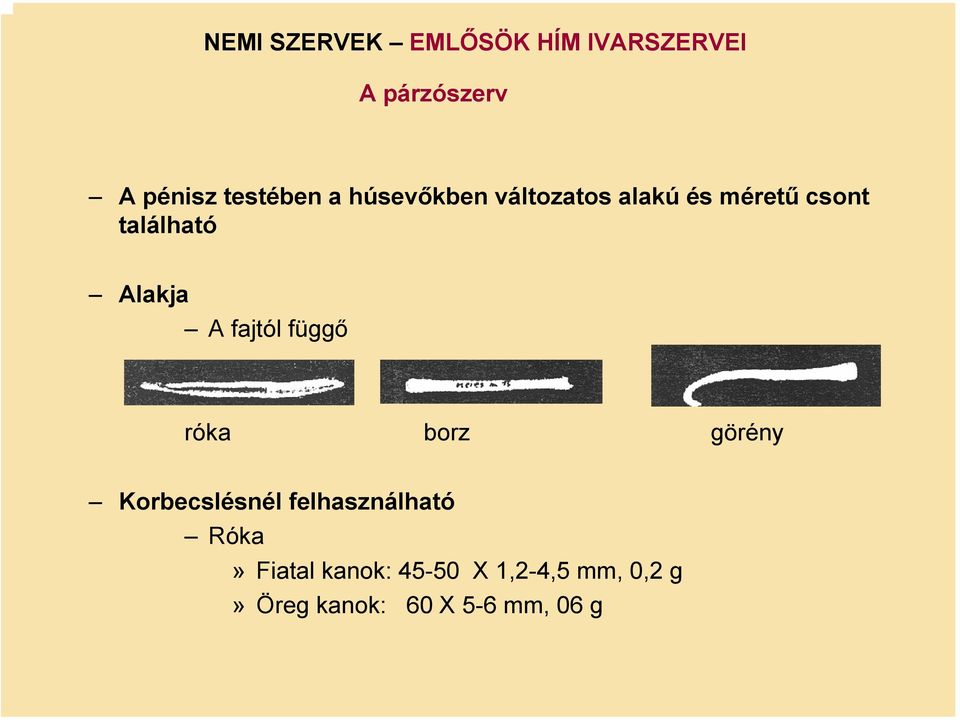 Alakja A fajtól függő róka borz görény Korbecslésnél