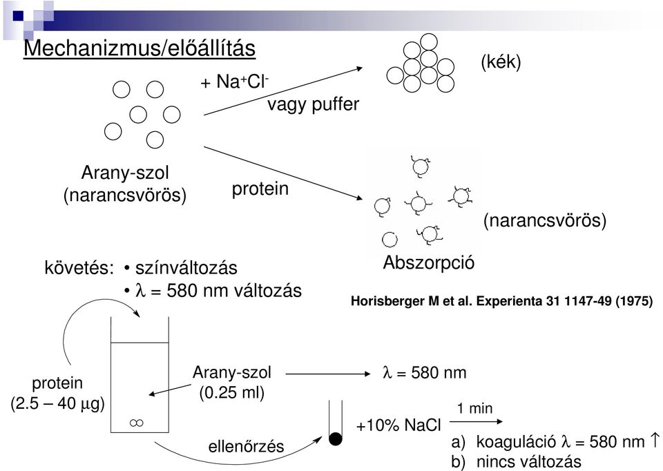 Horisberger M et al. Experienta 31 1147-49 (1975) protein (2.