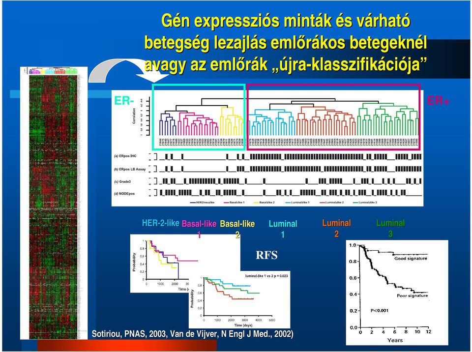 ER+ HER-2-like Basal-like like 1 Basal-like like 2 Luminal 1 Luminal