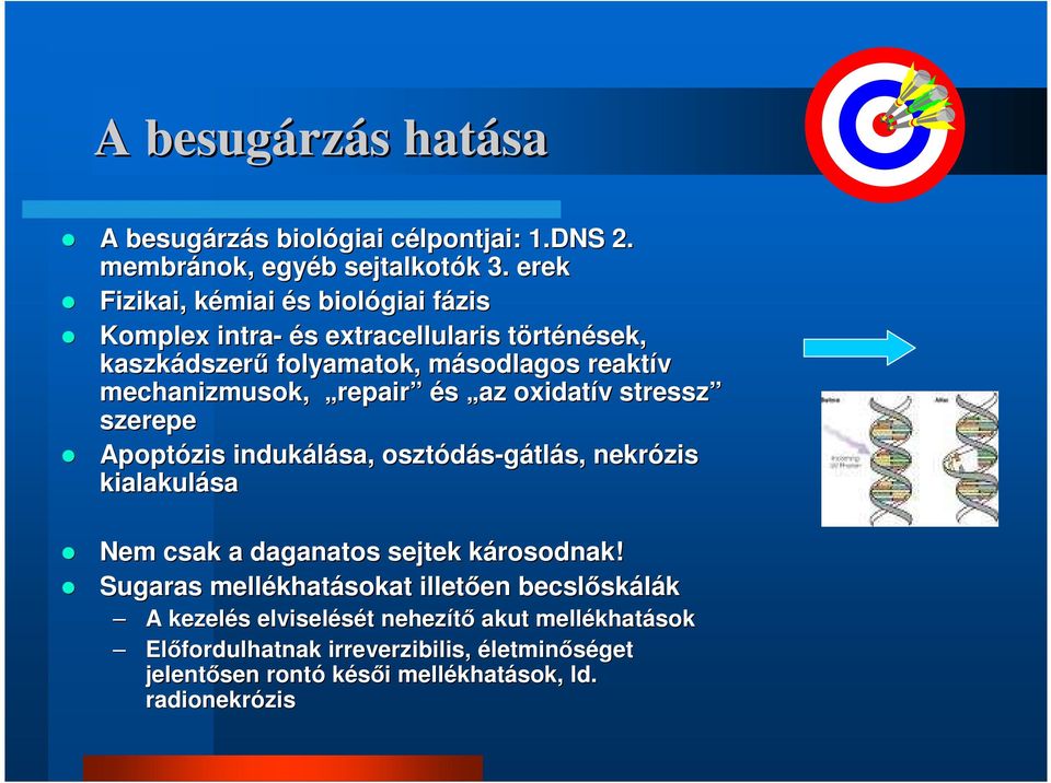 repair és az oxidatív v stressz szerepe Apoptózis indukálása, osztódás-gátl tlás, nekrózis kialakulása Nem csak a daganatos sejtek károsodnak!