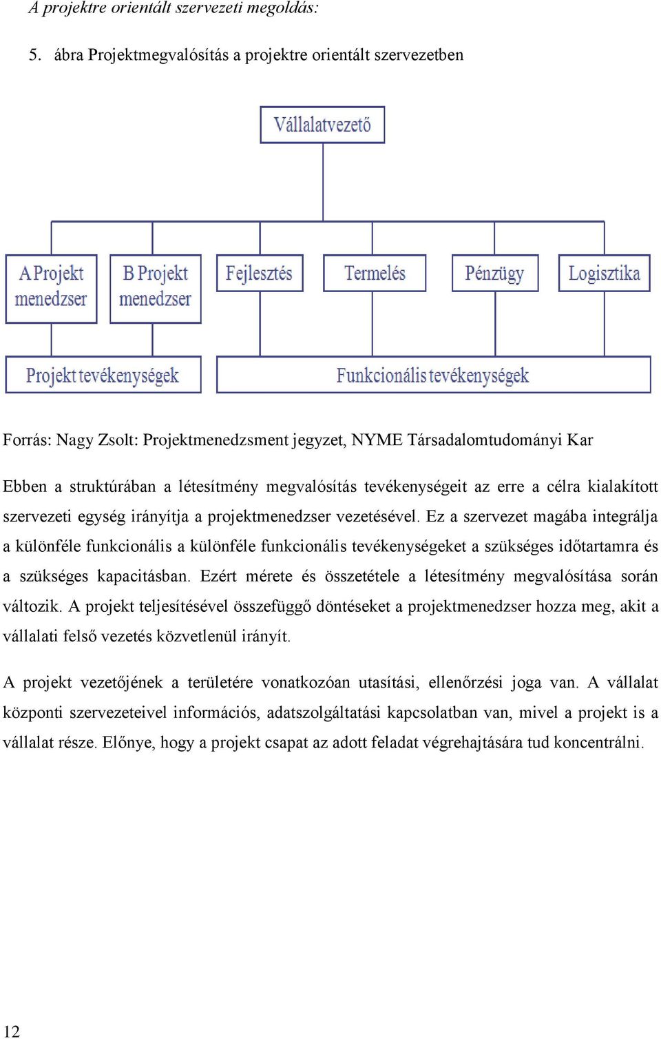 az erre a célra kialakított szervezeti egység irányítja a projektmenedzser vezetésével.