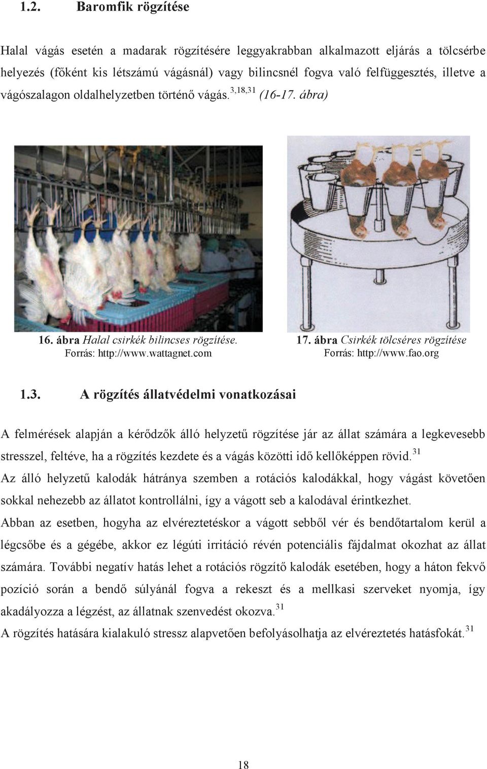 ábra Csirkék tölcséres rögzítése Forrás: http://www.fao.org 1.3.