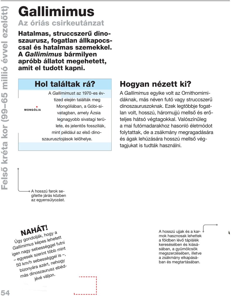 A Gallimimust az 1970-es évtized elején találták meg Mongóliában, a Góbi-sivatagban, amely Ázsia legnagyobb sivatagi területe, és jelentôs fosszíliák, mint például az elsô dinoszaurusztojások