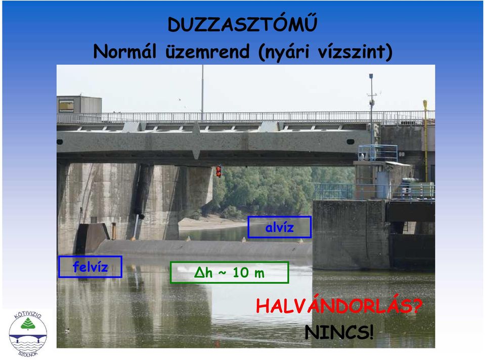 vízszint) alvíz