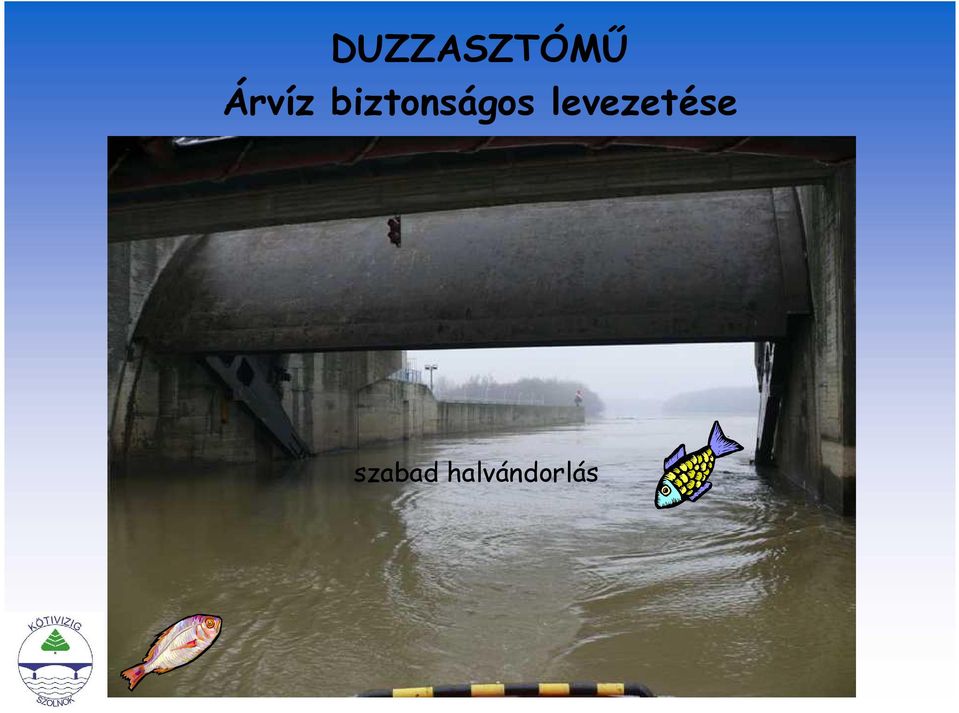 biztonságos