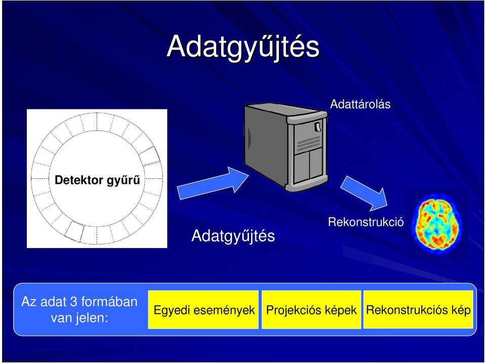 adat 3 formában van jelen: Egyedi