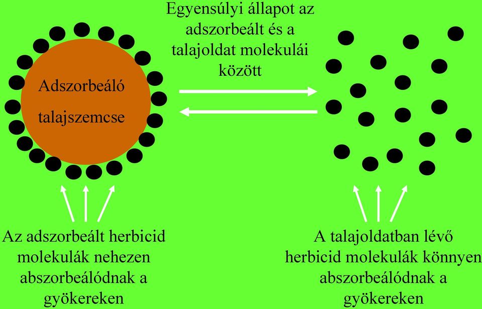 herbicid molekulák nehezen abszorbeálódnak a gyökereken A