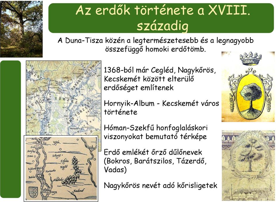 1368-ból már Cegléd, Nagykőrös, Kecskemét között elterülő erdőséget említenek Hornyik-Album -