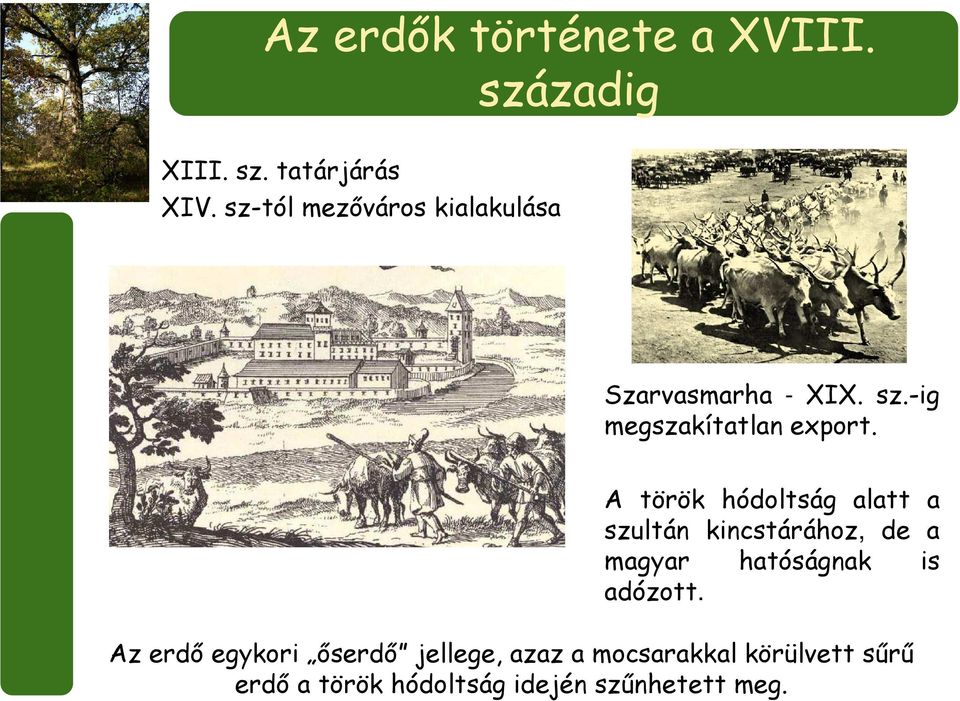 A török hódoltság alatt a szultán kincstárához, de a magyar hatóságnak is adózott.