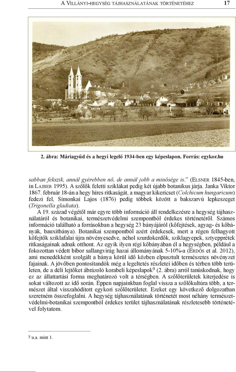 február 18-án a hegy híres ritkaságát, a magyar kikericset (Colchicum hungaricum) fedezi fel, Simonkai Lajos (1876) pedig többek között a bakszarvú lepkeszeget (Trigonella gladiata). A 19.