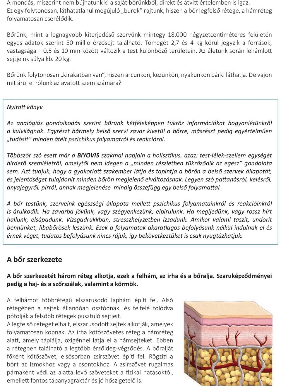 000 négyzetcentiméteres felületén egyes adatok szerint 50 millió érzősejt található. Tömegét 2,7 és 4 kg körül jegyzik a források, vastagsága 0,5 és 10 mm között változik a test különböző területein.