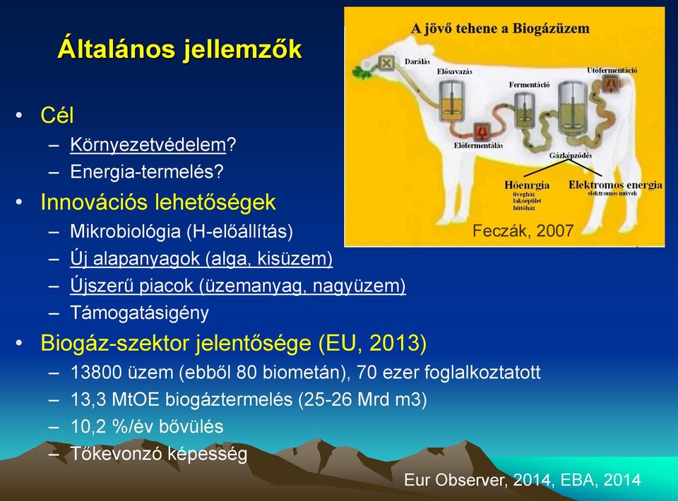 (üzemanyag, nagyüzem) Támogatásigény Biogáz-szektor jelentősége (EU, 2013) Feczák, 2007 13800 üzem