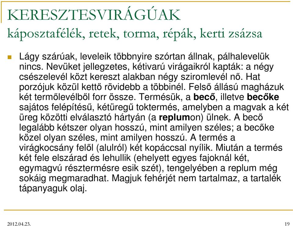 Felső állású magházuk két termőlevélből forr össze. Termésük, a becő, illetve becőke sajátos felépítésű, kétüregű toktermés, amelyben a magvak a két üreg közötti elválasztó hártyán (a replumon) ülnek.