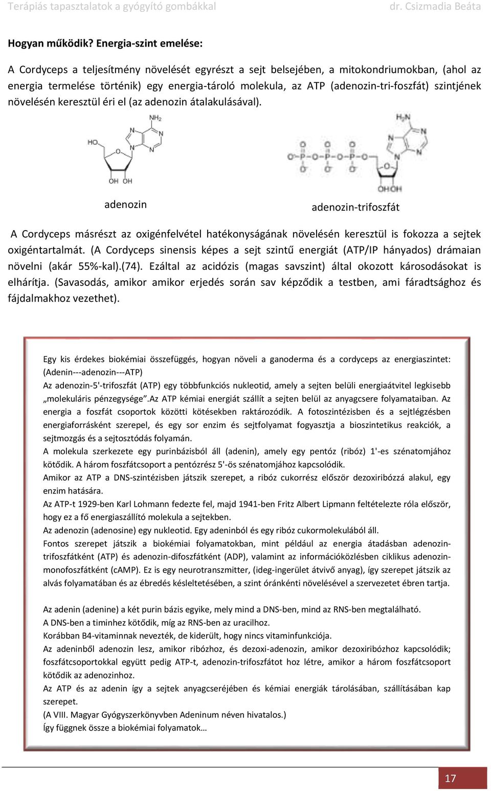 (adenozin-tri-foszfát) szintjének növelésén keresztül éri el (az adenozin átalakulásával).