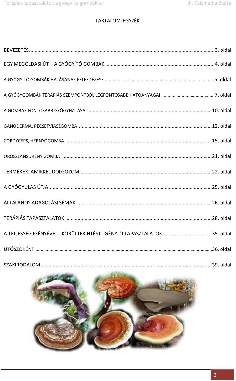 oldal CORDYCEPS, HERNYÓGOMBA... 15. oldal OROSZLÁNSÖRÉNY GOMBA... 21. oldal TERMÉKEK, AMIKKEL DOLGOZOM... 22. oldal A GYÓGYULÁS ÚTJA... 25.