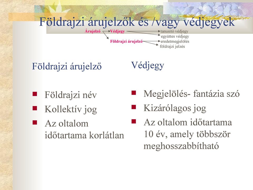 Védjegy Földrajzi név Kollektív jog Az oltalom időtartama korlátlan Megjelölés-