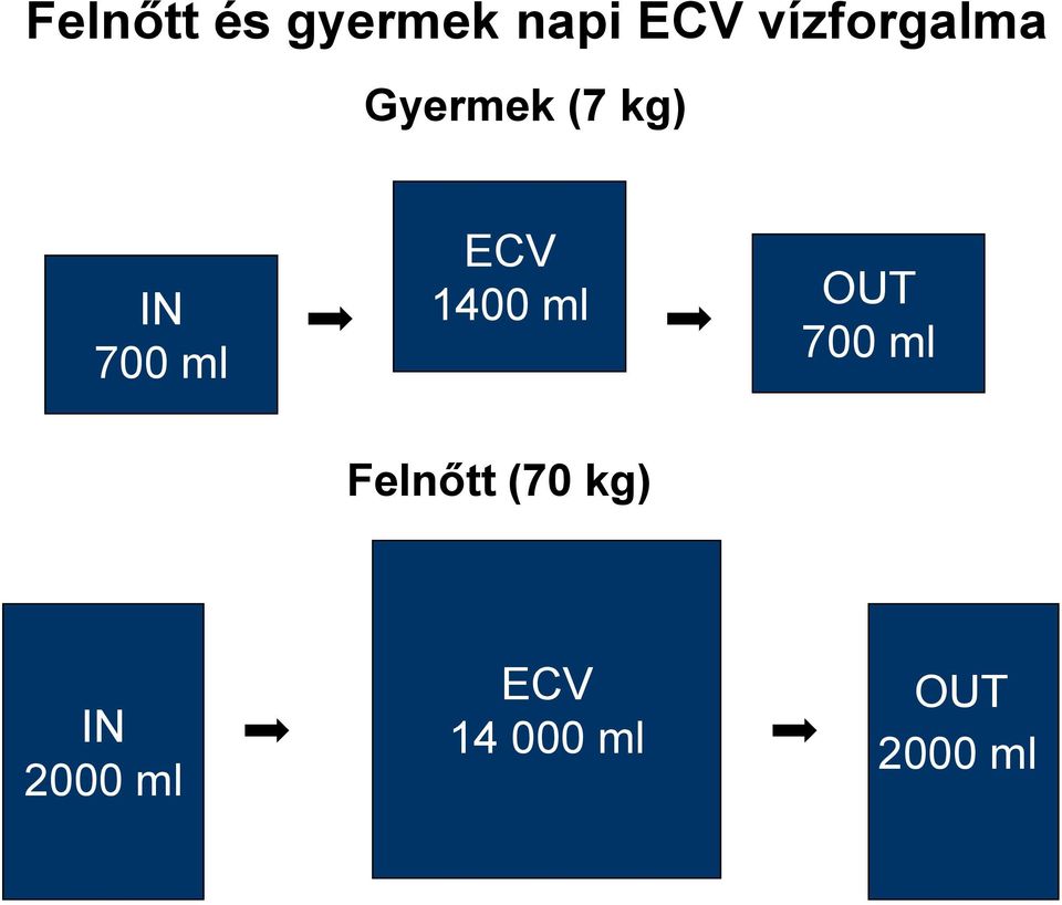 ml ECV 1400 ml OUT 700 ml Felnőtt