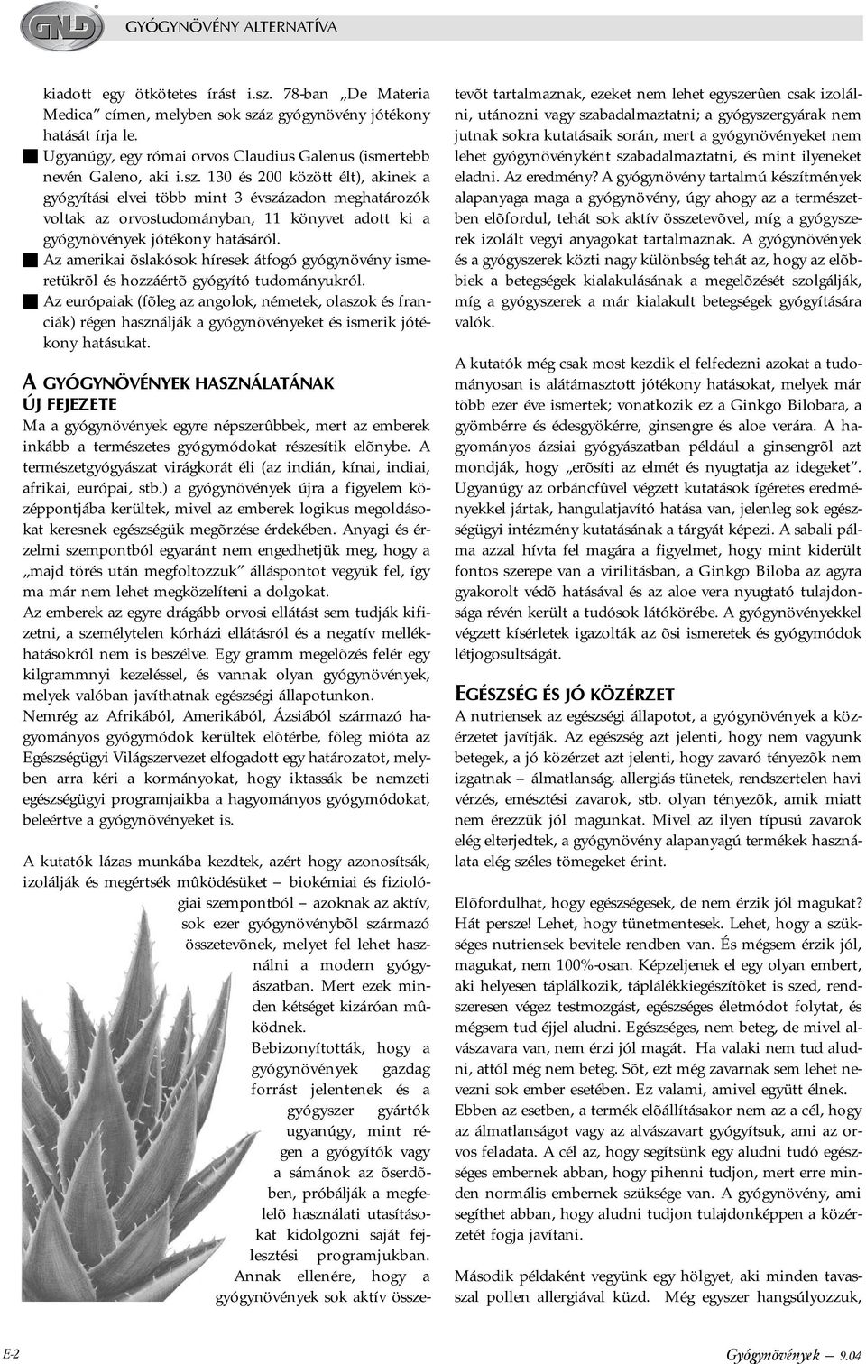 z gyógynövény jótékony hatását írja le. n Ugyanúgy, egy római orvos Claudius Galenus (ismertebb nevén Galeno, aki i.sz.