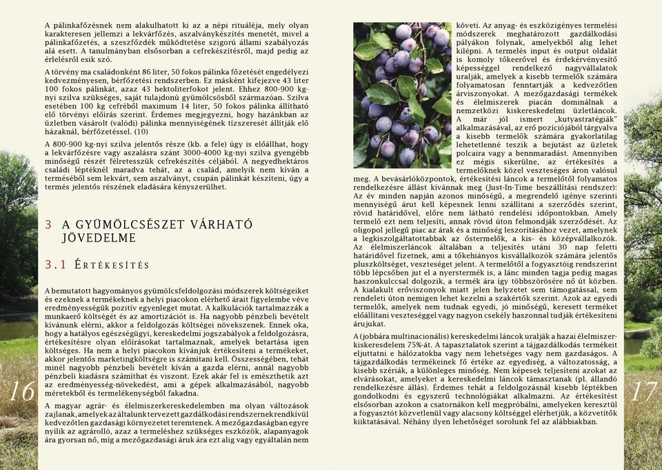 A törvény ma családonként 86 liter, 50 fokos pálinka főzetését engedélyezi kedvezményesen, bérfőzetési rendszerben. Ez másként kifejezve 43 liter 100 fokos pálinkát, azaz 43 hektoliterfokot jelent.