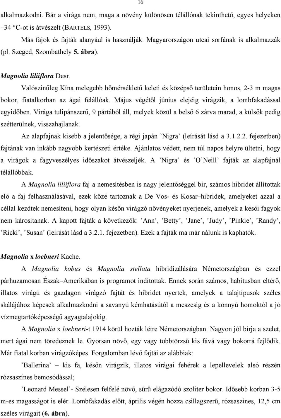 Valószínűleg Kína melegebb hőmérsékletű keleti és középső területein honos, 2-3 m magas bokor, fiatalkorban az ágai felállóak. Május végétől június elejéig virágzik, a lombfakadással egyidőben.