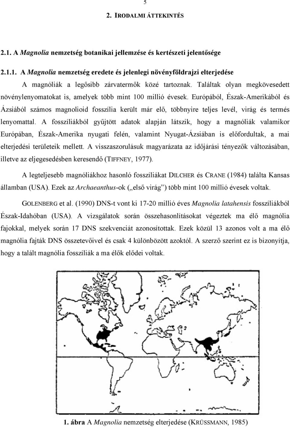 Európából, Észak-Amerikából és Ázsiából számos magnolioid fosszília került már elő, többnyire teljes levél, virág és termés lenyomattal.