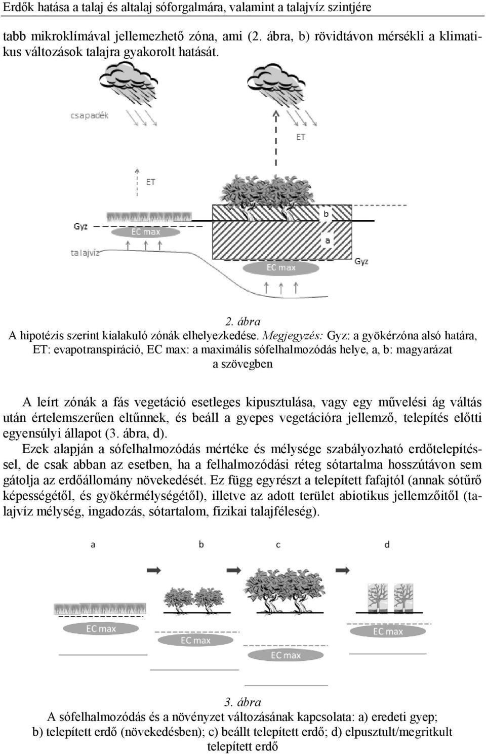 Megjegyzés: Gyz: a gyökérzóna alsó határa, ET: evapotranspiráció, EC max: a maximális sófelhalmozódás helye, a, b: magyarázat a szövegben A leírt zónák a fás vegetáció esetleges kipusztulása, vagy