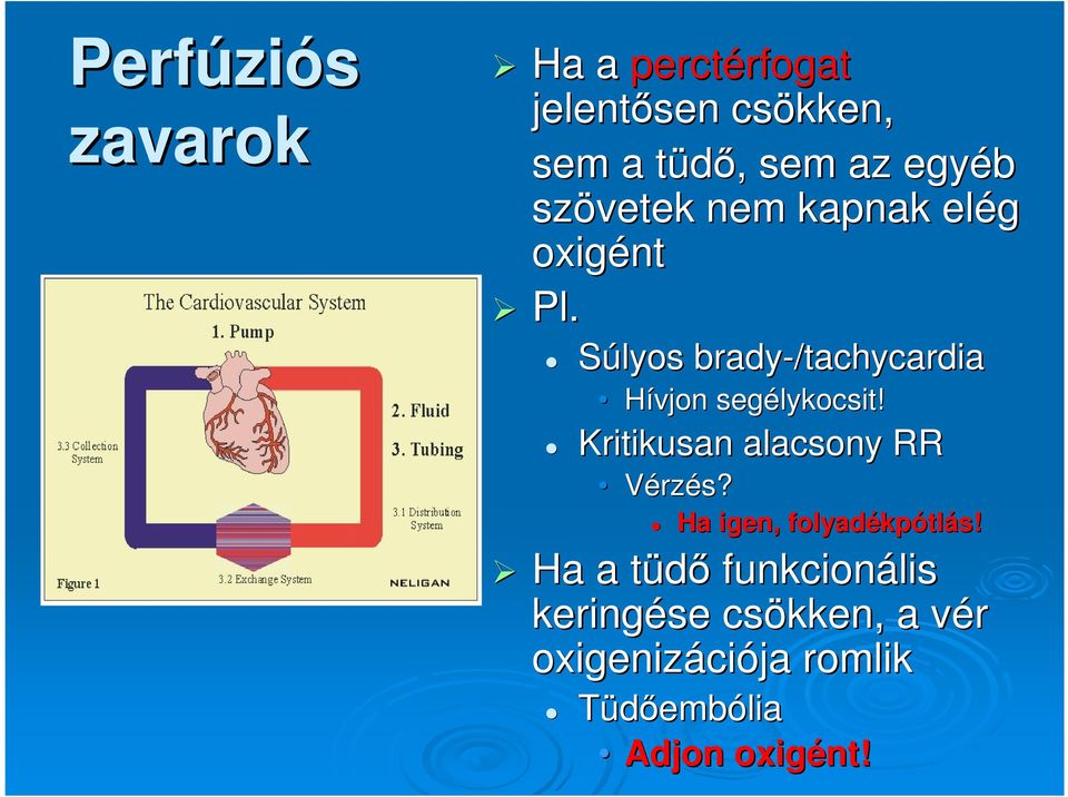 Súlyos brady-/tachycardia Hívjon segélykocsit lykocsit! Kritikusan alacsony RR Vérzés?