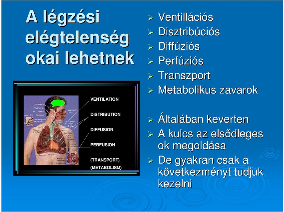 ciós Diffúzi ziós Perfúzi ziós Transzport Metabolikus zavarok Általában