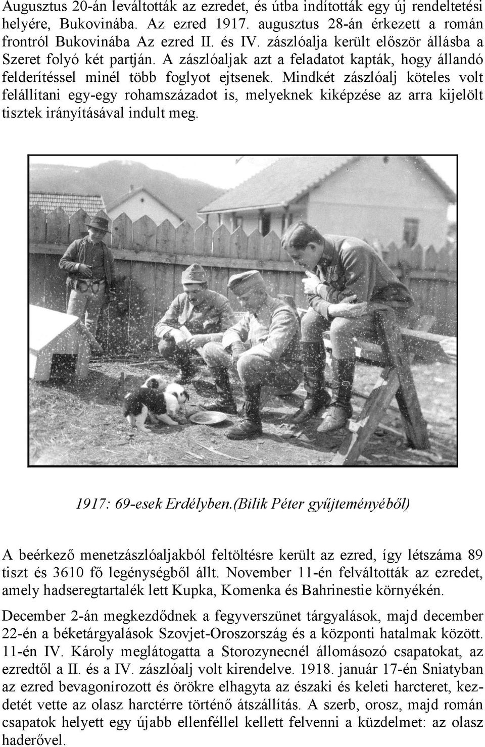 Mindkét zászlóalj köteles volt felállítani egy-egy rohamszázadot is, melyeknek kiképzése az arra kijelölt tisztek irányításával indult meg. 1917: 69-esek Erdélyben.