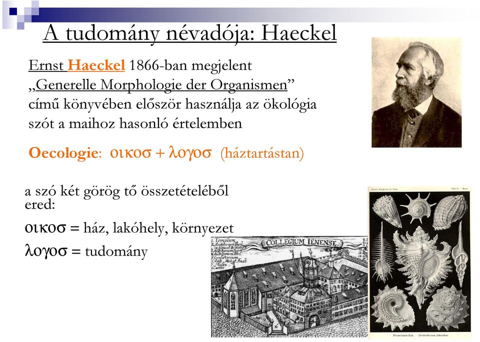 a maihoz hasonló értelemben Oecologie: οικοσ + λογοσ (háztartástan) a szó