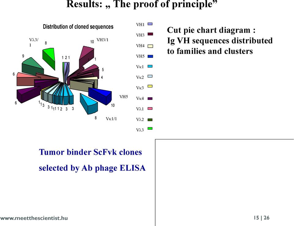 and clusters V 3 6 1 1 3 3 1 11 1 2 3 3 10 VH5 V 4 V 1 8 V 1/1 V 2 V 3 Tumor binder ScFvk