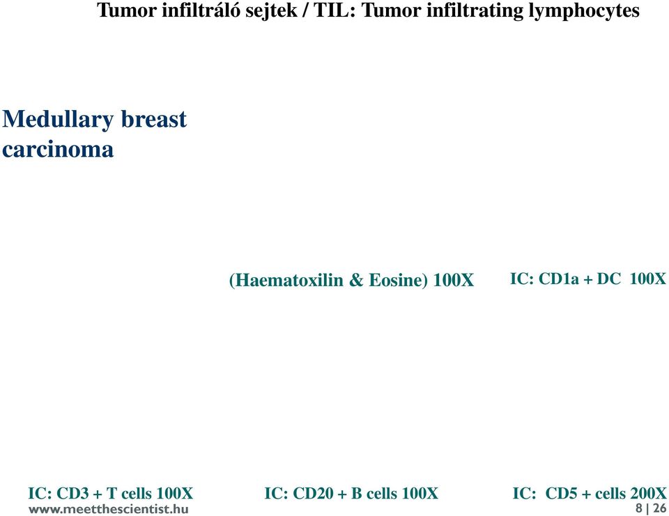 Eosine) 100X IC: CD1a + DC 100X IC: CD3 + T cells 100X IC: