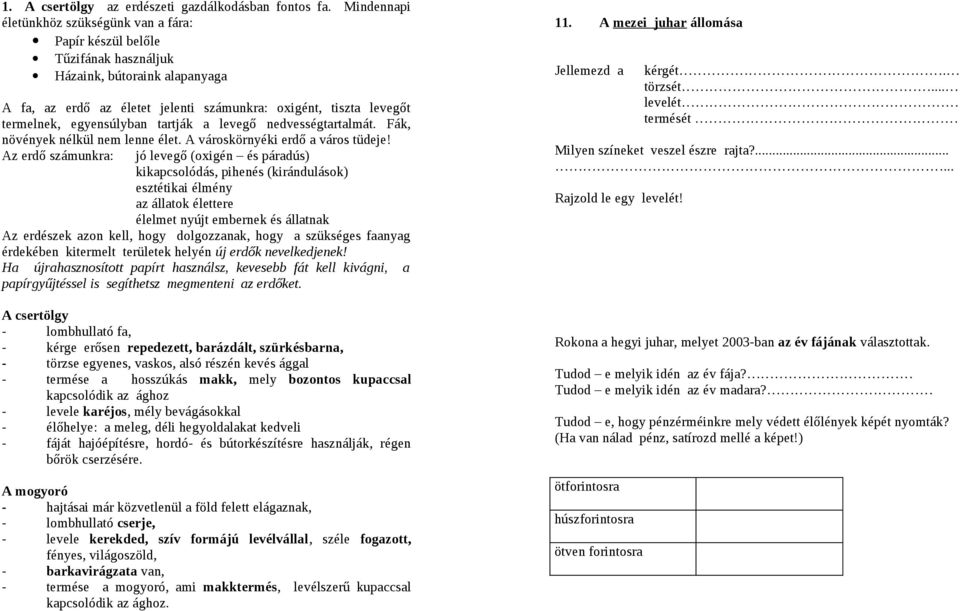 egyensúlyban tartják a levegő nedvességtartalmát. Fák, növények nélkül nem lenne élet. A városkörnyéki erdő a város tüdeje!