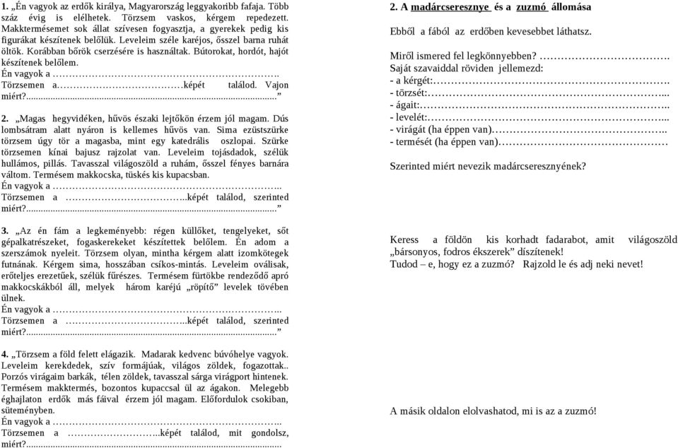 Bútorokat, hordót, hajót készítenek belőlem. Én vagyok a. Törzsemen a képét találod. Vajon miért?... 2. Magas hegyvidéken, hűvös északi lejtőkön érzem jól magam.