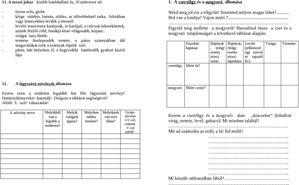 fénylő zöld, fonákja kissé világosabb, kopasz.. - virágai laza fürtök. - termése ikerlependék termés, a páros szárnyakban ülő magocskákat ezek a szárnyak röpítik szét.