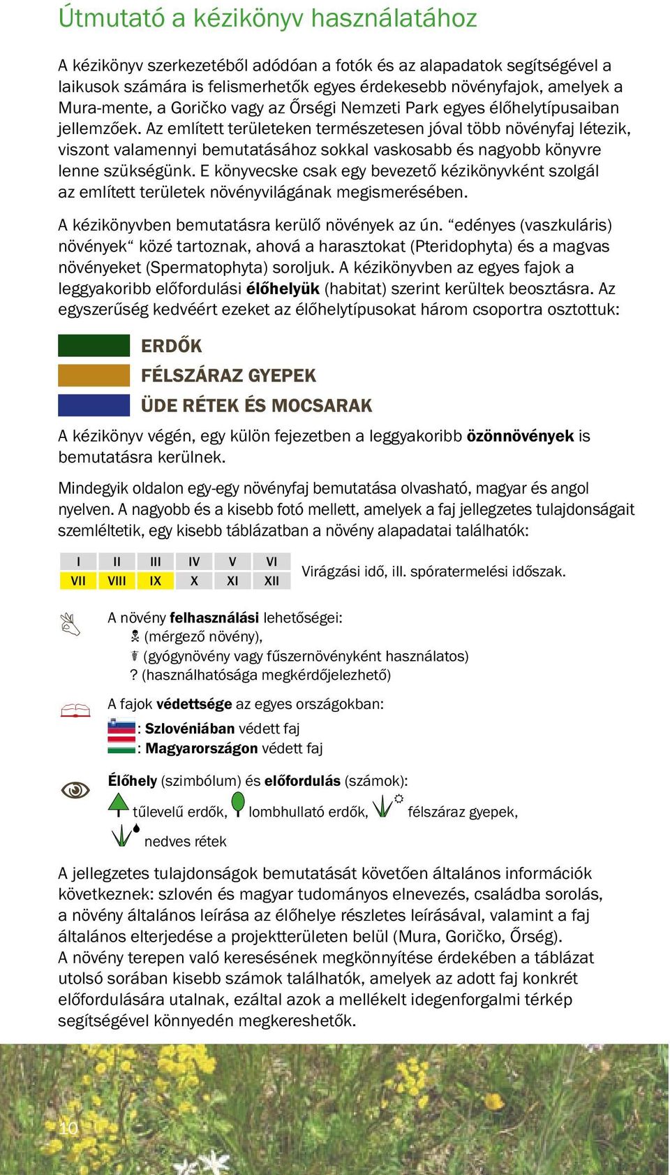 Az említett területeken természetesen jóval több növényfaj létezik, viszont valamennyi bemutatásához sokkal vaskosabb és nagyobb könyvre lenne szükségünk.