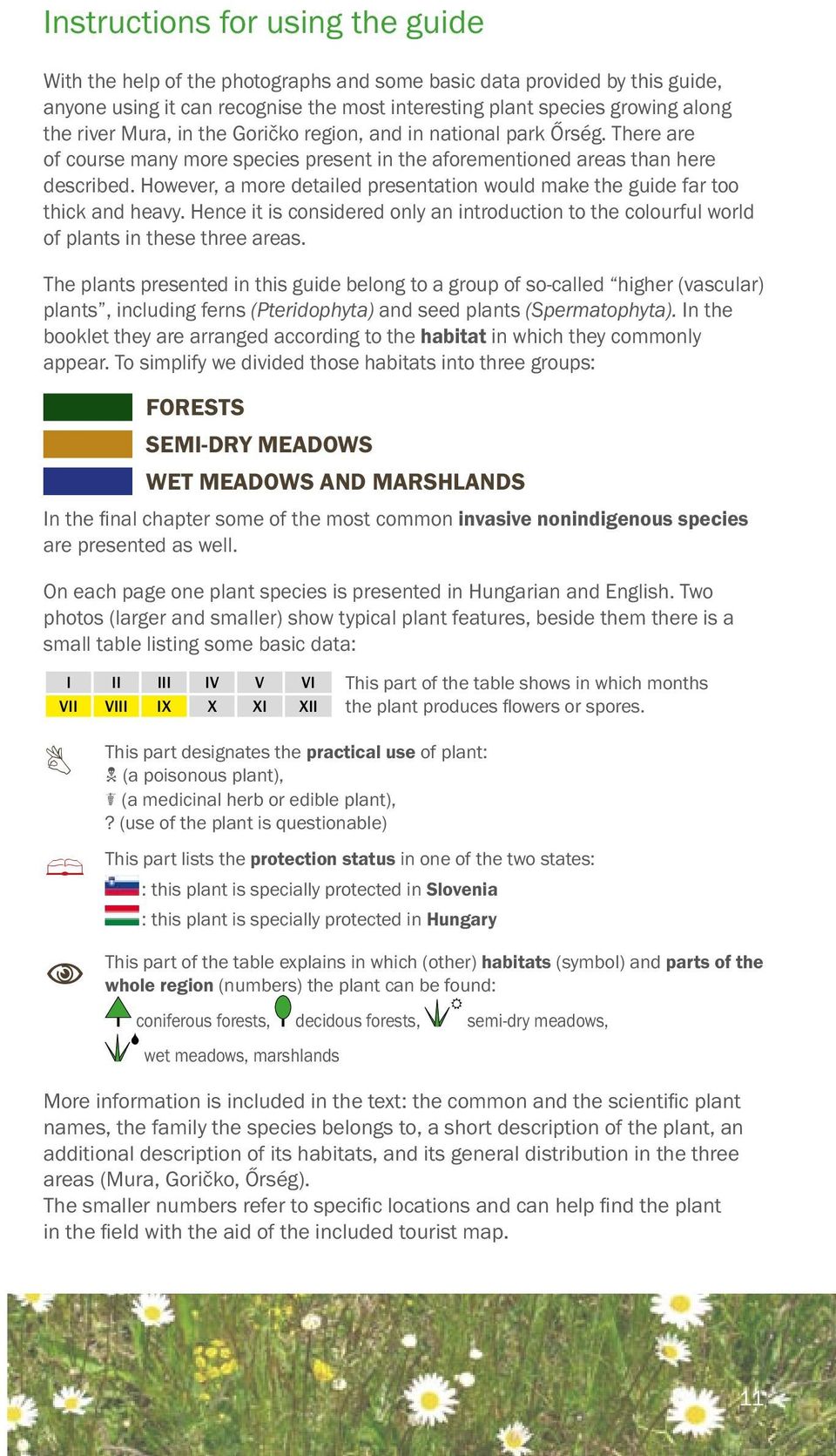 However, a more detailed presentation would make the guide far too thick and heavy. Hence it is considered only an introduction to the colourful world of plants in these three areas.