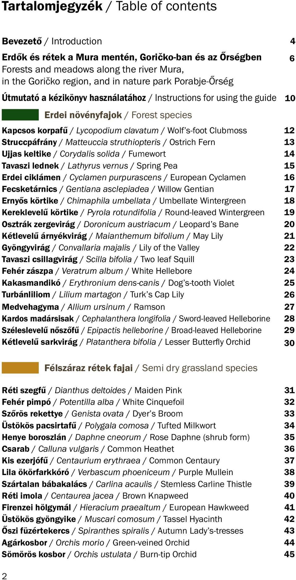 Struccpáfrány / Matteuccia struthiopteris / Ostrich Fern 13 Ujjas keltike / Corydalis solida / Fumewort 14 Tavaszi lednek / Lathyrus vernus / Spring Pea 15 Erdei ciklámen / Cyclamen purpurascens /