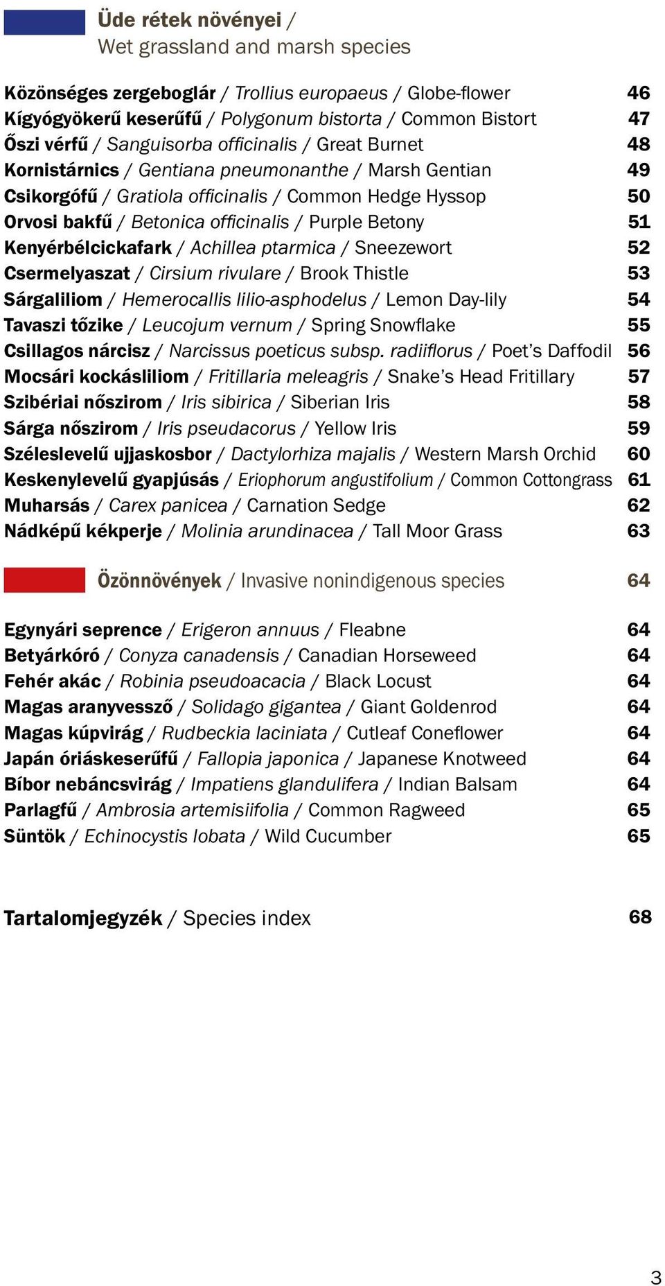 Purple Betony 51 Kenyérbélcickafark / Achillea ptarmica / Sneezewort 52 Csermelyaszat / Cirsium rivulare / Brook Thistle 53 Sárgaliliom / Hemerocallis lilio-asphodelus / Lemon Day-lily 54 Tavaszi