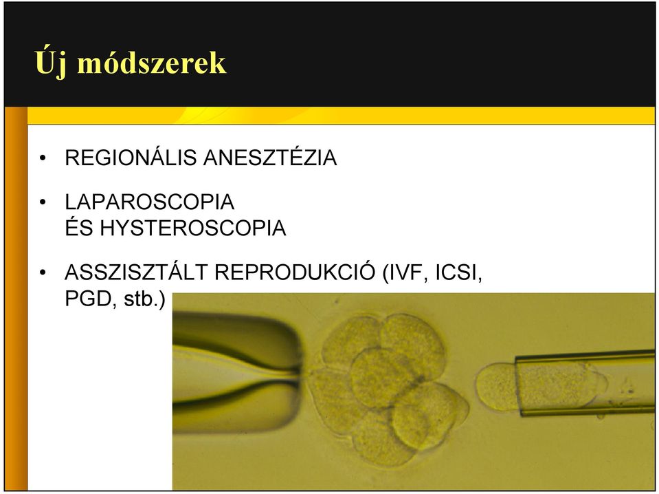 HYSTEROSCOPIA ASSZISZTÁLT