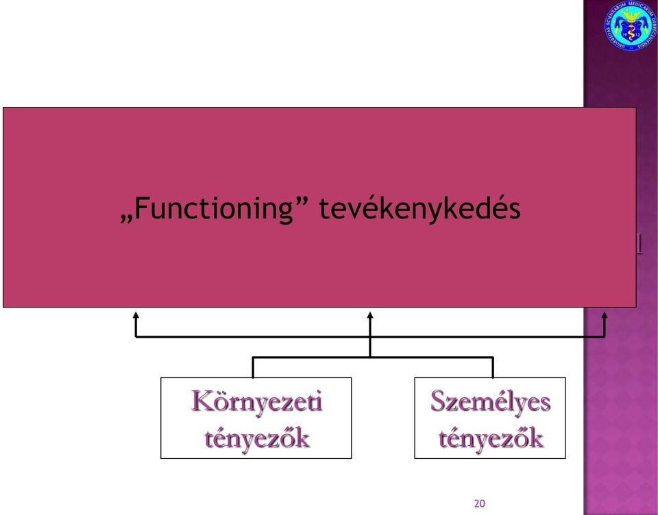 Tevékenységek sturktúrák Részvétel