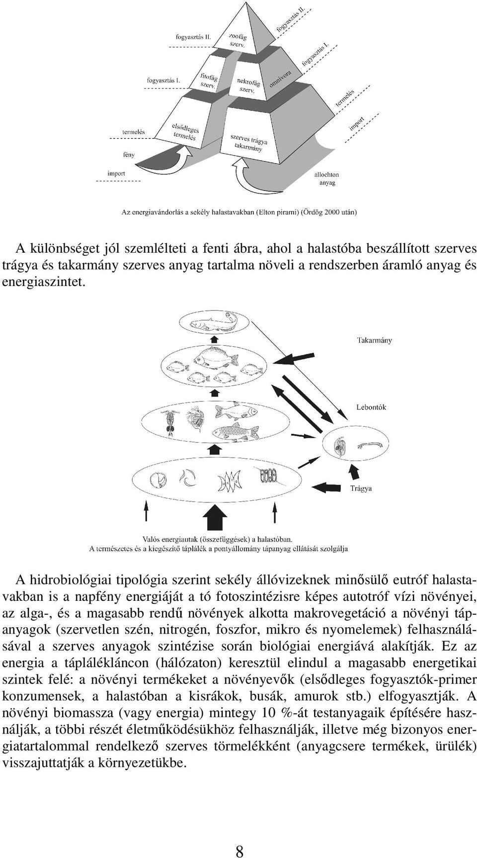 alkotta makrovegetáció a növényi tápanyagok (szervetlen szén, nitrogén, foszfor, mikro és nyomelemek) felhasználásával a szerves anyagok szintézise során biológiai energiává alakítják.