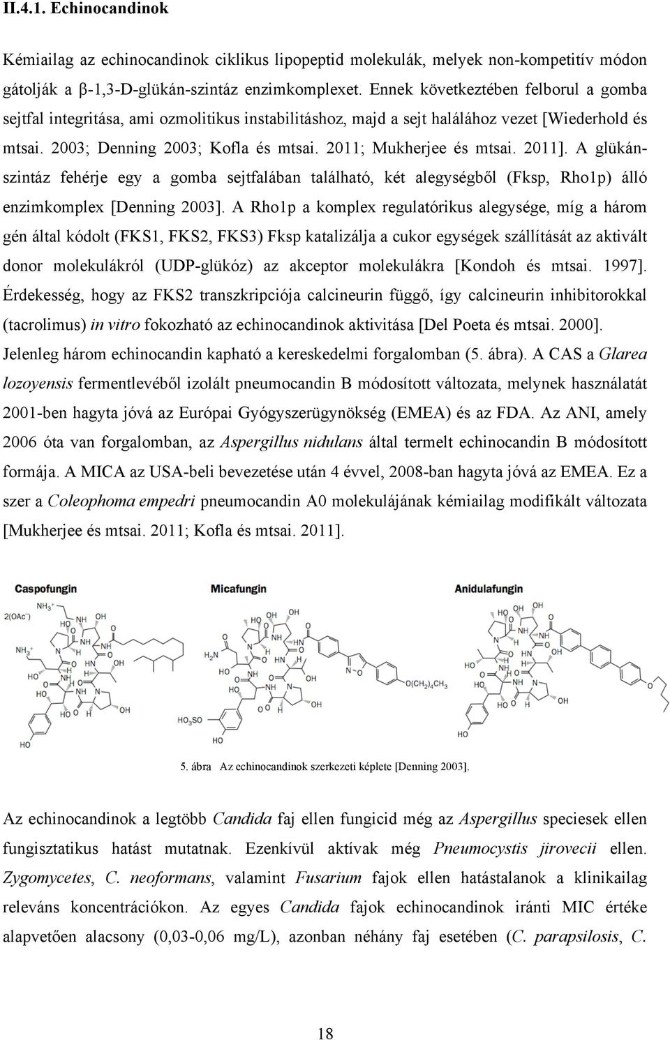 2011; Mukherjee és mtsai. 2011]. A glükánszintáz fehérje egy a gomba sejtfalában található, két alegységből (Fksp, Rho1p) álló enzimkomplex [Denning 2003].