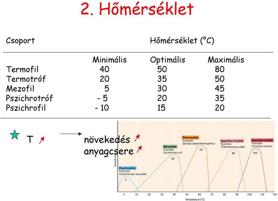 Termotróf 20 35 50 Mezofil 5 30 45 Pszichrotróf