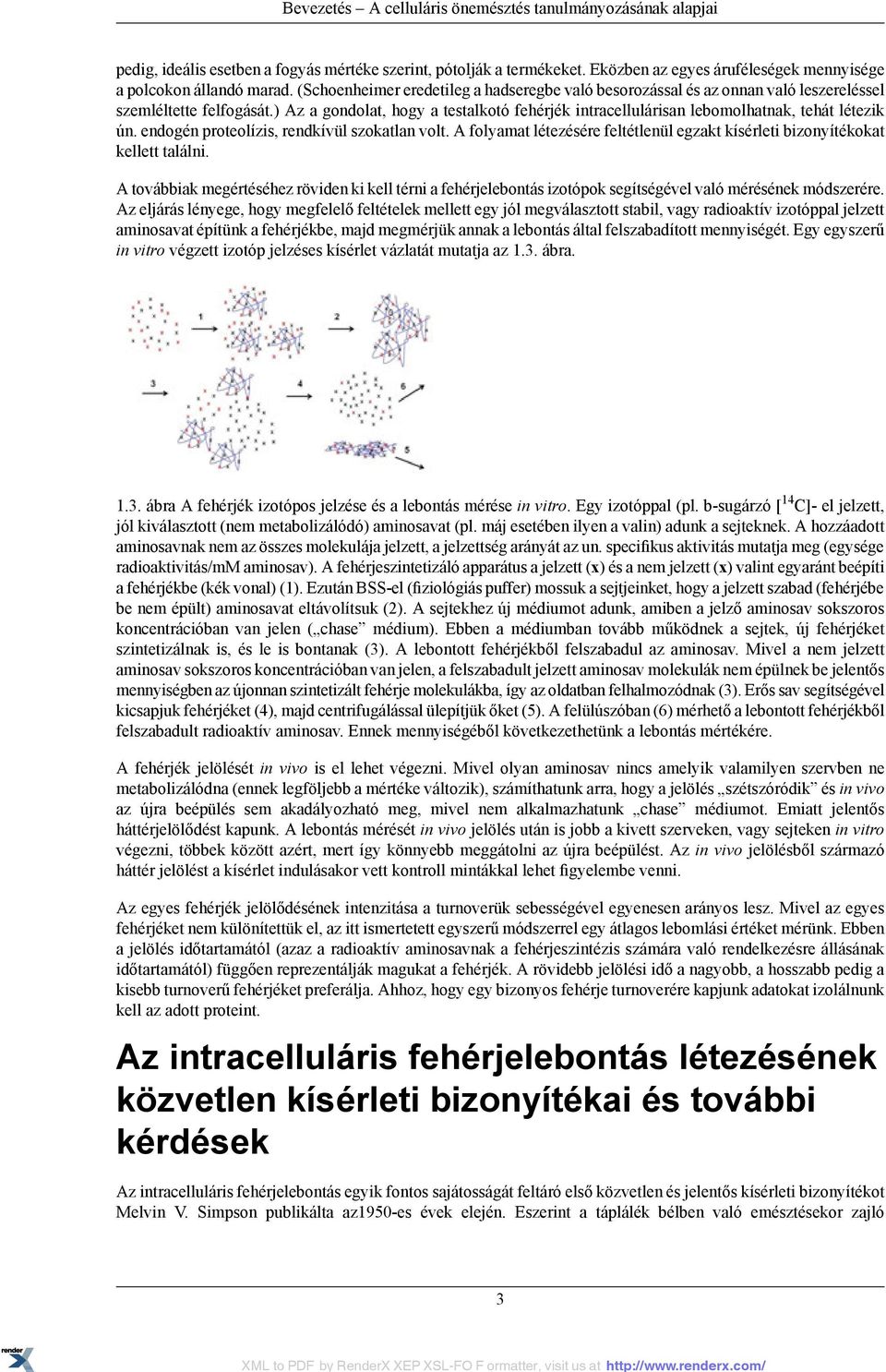 ) Az a gondolat, hogy a testalkotó fehérjék intracellulárisan lebomolhatnak, tehát létezik ún. endogén proteolízis, rendkívül szokatlan volt.